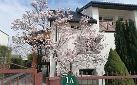 Magnolia
